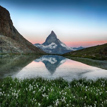 Matterhorn reflection in Riffelsee with flowers, Zermatt, Alps, Switzerland