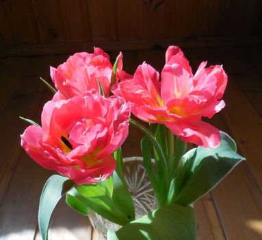 three red tulip on the background of wood structure