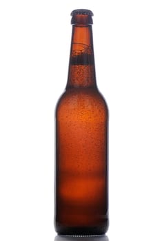 Bottle of beer with bubbles inside on white background