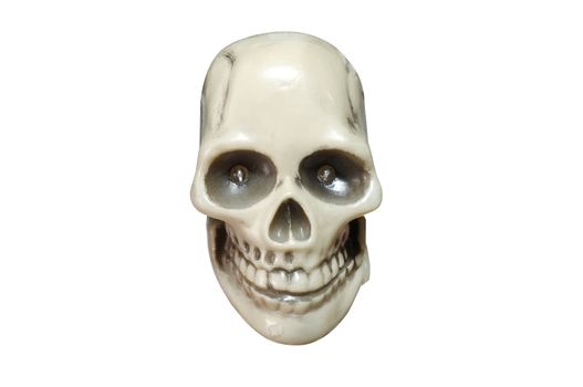 Human skull on isolated white background