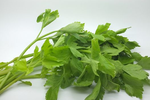 Fresh green celery