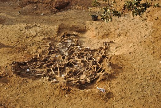 In 1936, just at the beginning of the Spanish Civil War, dozens of non-fascist citizens were carried from Burgos to mount Estepar. Over there, they were shot by a platoon of Franco's army and buried in a mass grave until 2014-2015.