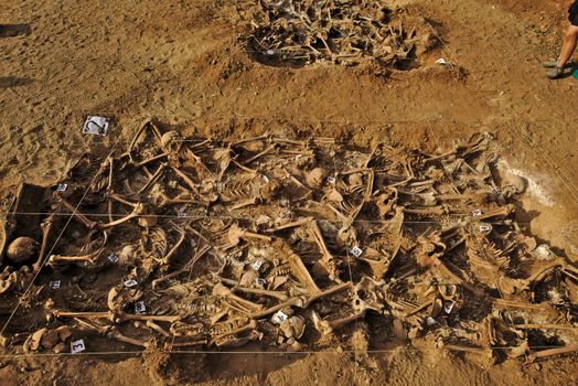 In 1936, just at the beginning of the Spanish Civil War, dozens of non-fascist citizens were carried from Burgos to mount Estepar. Over there, they were shot by a platoon of Franco's army and buried in a mass grave until 2014-2015.