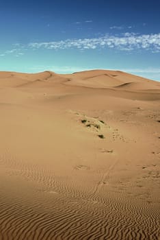 dry Sahara desert near Merzouga in Morocco