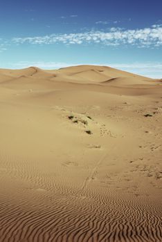 dry Sahara desert near Merzouga in Morocco