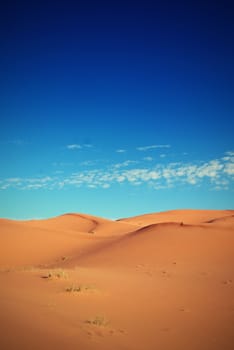 dry Sahara desert near Merzouga in Morocco