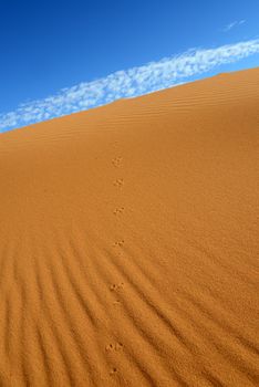 dry Sahara desert near Merzouga in Morocco