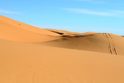 dry Sahara desert near Merzouga in Morocco