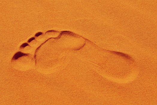 footsteps in Sahara in Morocco near Merzouga