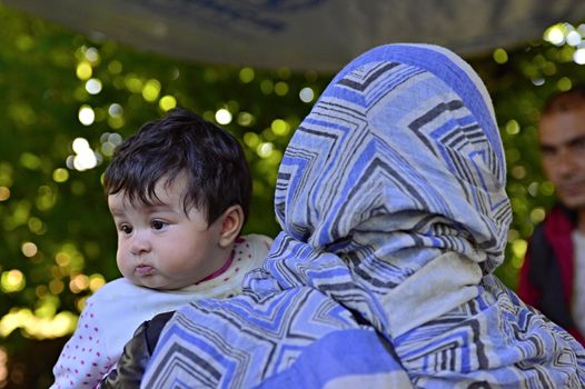 October 4, 2015; Bapska in Serbia. Group of refugees leaving Serbia. They came to Bapska by buses and then they leaving Serbia and go to Croatia and then to Germany. Many of them escapes from home because of civil war. 