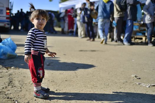 October 4, 2015; Bapska in Serbia. Group of refugees leaving Serbia. They came to Bapska by buses and then they leaving Serbia and go to Croatia and then to Germany. Many of them escapes from home because of civil war. 