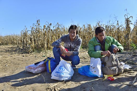 October 4, 2015; Bapska in Serbia. Group of refugees leaving Serbia. They came to Bapska by buses and then they leaving Serbia and go to Croatia and then to Germany. Many of them escapes from home because of civil war. 
