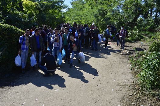 October 4, 2015; Bapska in Serbia. Group of refugees leaving Serbia. They came to Bapska by buses and then they leaving Serbia and go to Croatia and then to Germany. Many of them escapes from home because of civil war. 
