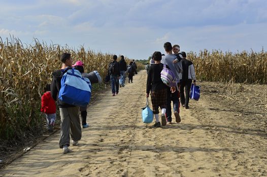 October 4, 2015; Sid in Serbia. Group of Afghan refugees leaving Serbia. They came to Sid by taxi and then they leaving Serbia and go to Croatia and then to Germany. Many of them escapes from home because of civil war. 