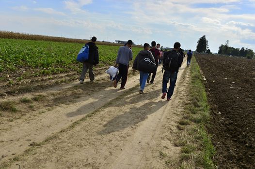 October 4, 2015; Sid in Serbia. Group of Afghan refugees leaving Serbia. They came to Sid by taxi and then they leaving Serbia and go to Croatia and then to Germany. Many of them escapes from home because of civil war. 