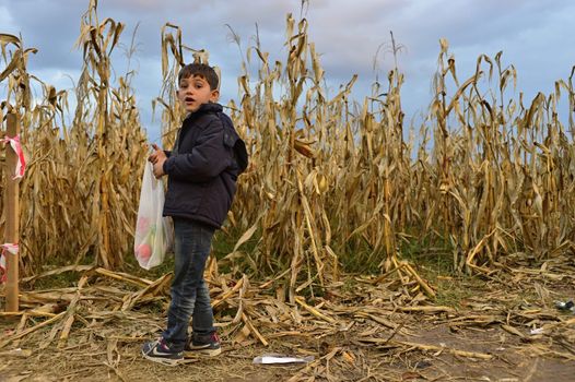 October 4, 2015; Bapska in Serbia. Group of refugees leaving Serbia. They came to Bapska by buses and then they leaving Serbia and go to Croatia and then to Germany. Many of them escapes from home because of civil war. 