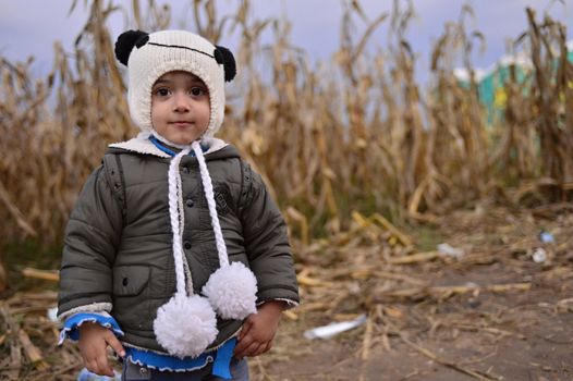 October 4, 2015; Bapska in Serbia. Group of refugees leaving Serbia. They came to Bapska by buses and then they leaving Serbia and go to Croatia and then to Germany. Many of them escapes from home because of civil war. 