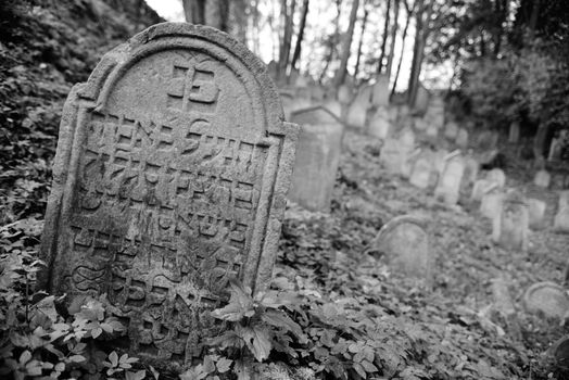 August 22, 2013, Divisov in Czech republic. Old jewish cemetry in Divisov . August 22, 2013, Divisov in Czech republic.