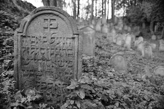 August 22, 2013, Divisov in Czech republic. Old jewish cemetry in Divisov . August 22, 2013, Divisov in Czech republic.
