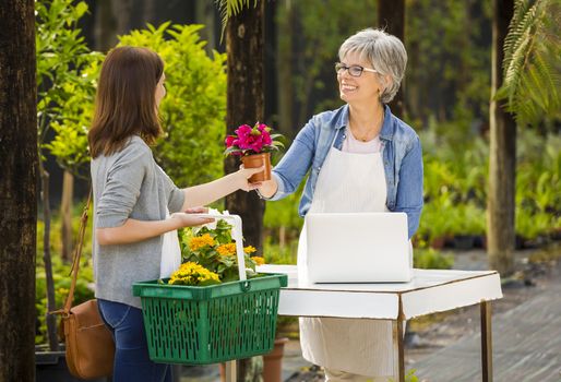 Mature women working in a flower shop and talking with a customer