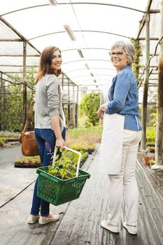 Florist and customer walking together in a greenhouse