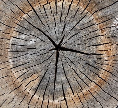Wooden structure for a background
