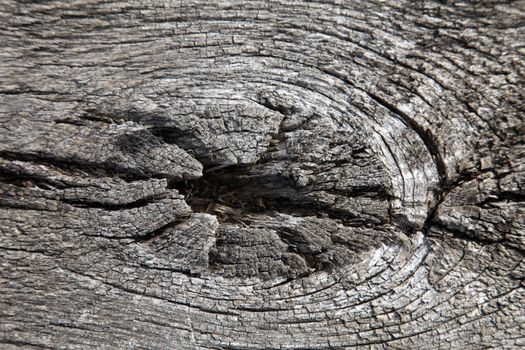 Wooden structure for a background