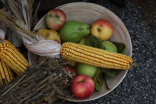 Autumn Harvest