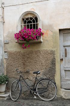 Bicycle and flowers