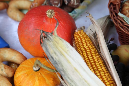 Autumn Harvest