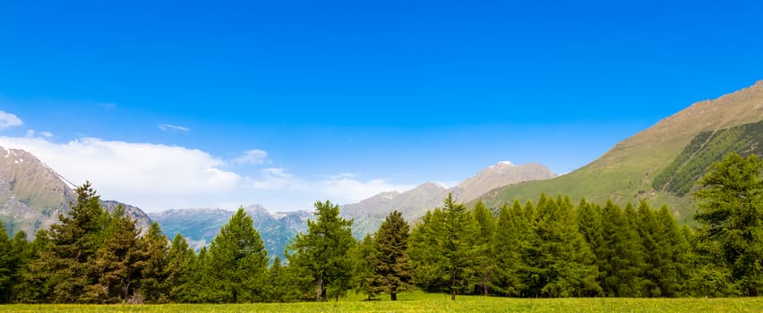 Wonderful view on Italian Alps with a forest background during a summer day. Piedmont region - North Italy.