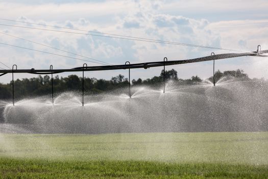 A Lateral Move Irrigation System, sometimes called a Linear Move, Wheelmove or Side Roll System, irrigating crops in Australia. These systems are often 500 meters to 1000 meters long.