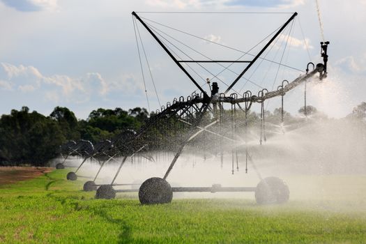 A Lateral Move Irrigation System, sometimes called a Linear Move, Wheelmove or Side Roll System, irrigating crops in Australia. These systems are often 500 meters to 1000 meters long.