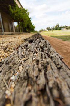 closeup of rotting timber at a disused railway station.