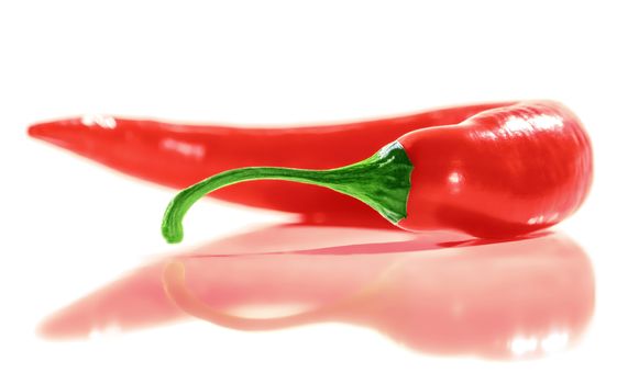 Fresh Red Hot Chili Pepper. White background. Soft Focus view.
