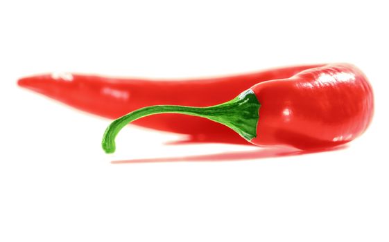 Fresh Red Hot Chili Pepper. White background. Soft Focus view.