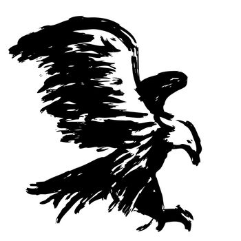 freehand sketch illustration of eagle, hawk bird doodle hand drawn