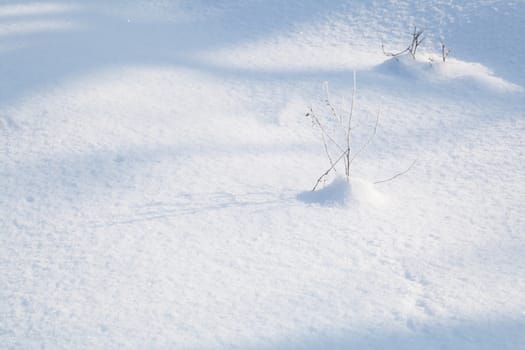 abstract background, snow-covered land closeup winter day