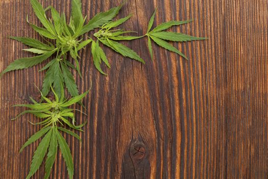 Cannabis buds and foliage on brown wooden table, top view. Medical marijuana, alternative medicine. 