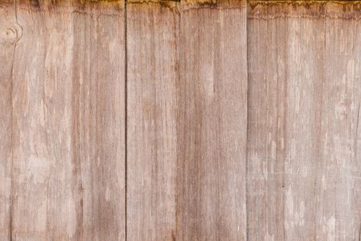 wood texture with natural pattern, Wood Texture Background