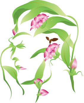 Vector organic man flower silhouette with close eyes, leaves and flowers buds