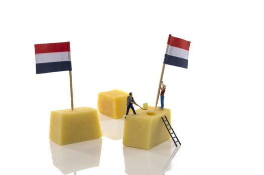 little people putting the dutch red white and blue flags on dutch cheese