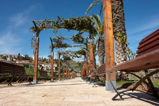 Mediterranean style city park with palm trees and grapes Israel