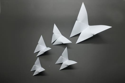 White origami butterfly paper