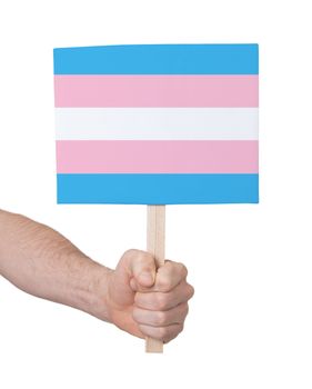 Hand holding small card, isolated on white - Flag of Trans Pride