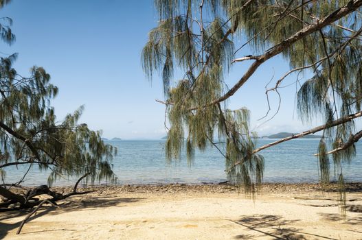 Beach at the East Coast of Queensland, Australia