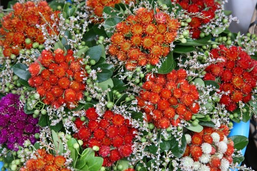 Floral Arrangement