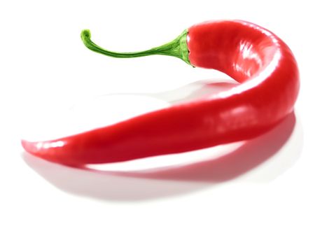 Fresh Red Hot Chili Pepper. White background. Soft Focus view.
