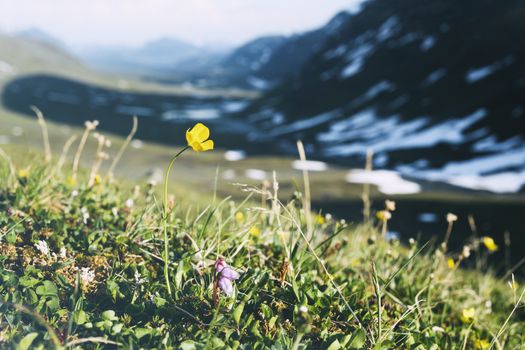 Landscape in Lapland, northern Sweden