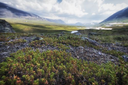 Landscape in Lapland, northern Sweden